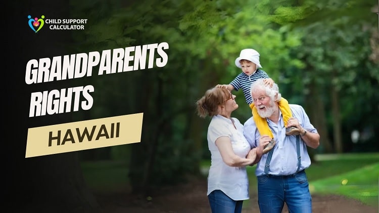 Grandparents Rights In Hawaii (Updated) 2024